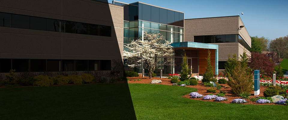 Hackettstown Landscapers