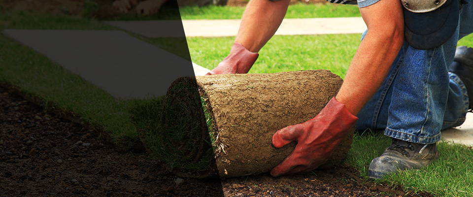 Hackettstown Landscapers